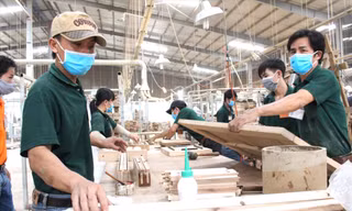 Gần 7.000 lao động bị doanh nghiệp nợ hơn 110 tỷ đồng tiền lương 