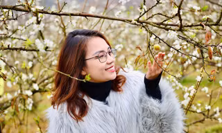 Mộc Châu quá tải du khách nhờ mùa hoa mận nở đẹp hiếm thấy Ảnh: TRỌNG TÀI 