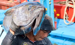 Rộn ràng 'lộc biển' đầu năm 