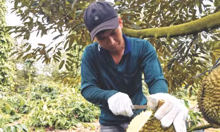 Cây 'tỷ đô' rộng cửa vào thị trường tỷ dân 