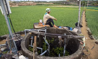 Lão nông Võ Hiển Vinh đang chờ bơm chạy vài phút rồi lại đi giếng khác bật cầu dao Ảnh: Văn Chương 