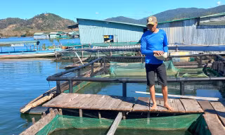 Đa dạng các loại cá được nuôi tại làng chài Sê San