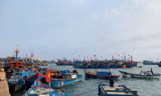 Giá dầu tăng cao, ngư dân nằm bờ 