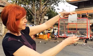 Dù được phóng sinh chim vẫn hoang mang, không đủ sức bay ra khỏi lồng Ảnh: Nguyên Anh