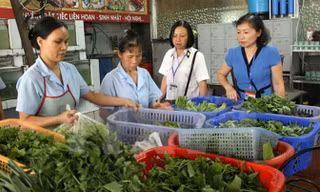 Hà Nội vận động dân thay đổi tập quán ăn uống mất vệ sinh