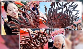 Nhiều người thích thú cầm cây linh chi chụp ảnh trong hội chợ ở thành phố Thượng Nhiêu. Ảnh: NDTV.