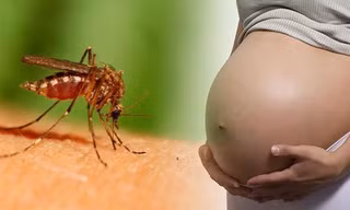 TPHCM: 9 trường hợp thai phụ nhiễm Zika