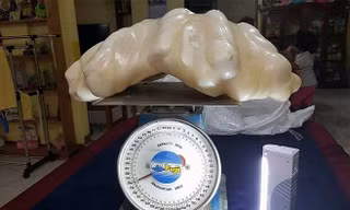 Những viên đá quý giá trị nhất thế giới