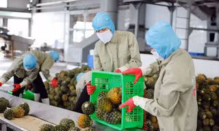 Nhiều thách thức với xuất khẩu của Việt Nam năm 2022. Ảnh: Phạm Anh 