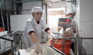 Doanh nghiệp sản xuất bún, mì… như “ngồi trên lửa” khi thiếu nguồn gạo chế biến, giá tăng cao (ảnh tại Công ty sản xuất bún Nguyễn Bính) ảnh: U.P 
