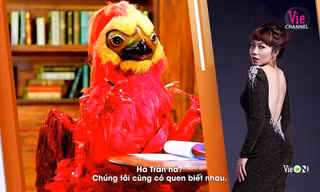 Phượng Hoàng Lửa tuyên bố có quen biết Hà Trần và còn khen diva này “hát như đúng rồi” 