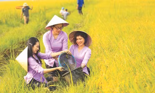 Nữ doanh nhân Phạm Thị Diễm Lệ và niềm vui được mùa 