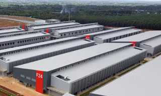 Cty TNHH Longwell liên tiếp lỗ trong 2 năm gần đây Ảnh: PV; đồ họa: Quốc Anh 