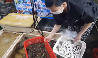 Mặt hàng hải sản tôm tăng giá chóng mặt sau Tết