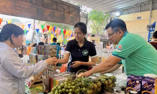 Nhiều bạn trẻ chọn khởi nghiệp với sản phẩm từ tài nguyên bản địa đã góp phần nâng tầm sản vật địa phương ảnh: U.P