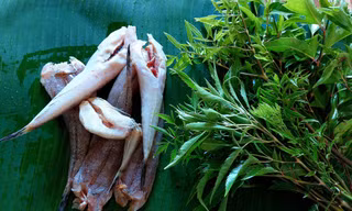 Cá suối hấp, giã lá đinh lăng là món ăn dân dã của người dân tộc bản địa Tây Nguyên 