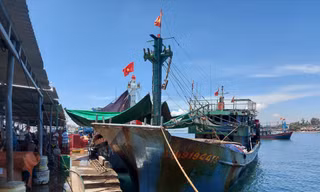 Nhiều tàu cá lại đứng trước nguy cơ nằm bờ vì giá dầu tăng cao Ảnh: Hoài Văn