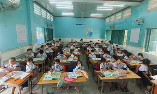 Năm học 2023- 2024, TPHCM tăng hơn 35.000 học sinh ảnh minh họa: Nguyễn Dũng 