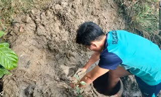Độc lạ miền Tây: Làm hầm bắt cá ngày giáp Tết