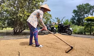 Cà Mau: Hủy quyết định kỷ luật cán bộ do sai căn cứ pháp lý