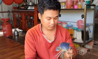 Bắt được cua có màu độc lạ