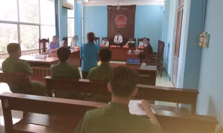 Người đàn bà 62 tuổi xâm hại tình dục 3 em bé ở Bạc Liêu