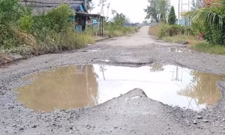 Một doanh nghiệp bị cấm đấu thầu 5 năm do có hành vi gian lận