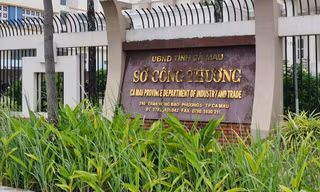 Hé lộ những vi phạm khiến nguyên Giám đốc Sở Công thương Cà Mau bị kỷ luật