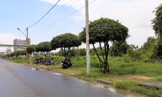 Khởi tố 2 nguyên phó chủ tịch huyện ở Bạc Liêu