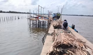 Vụ bao chiếm đất rừng phòng hộ để nuôi sò: Chủ tịch Cà Mau yêu cầu xử lý trách nhiệm cá nhân