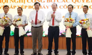 Nhiều cán bộ cấp huyện ở Cà Mau tự nguyện xin nghỉ 