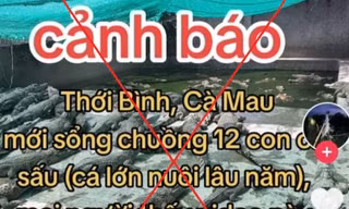 Bị phạt 7,5 triệu đồng vì đăng tin hóng hớt '12 con cá sấu xổng chuồng' 