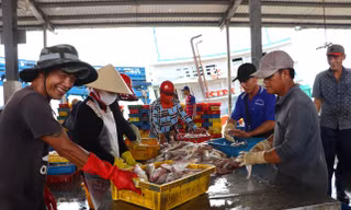 Cà Mau quyết liệt xoá tàu cá '3 không' 
