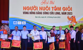 Đội Bạc Liêu đạt giải nhất ‘người nuôi tôm giỏi ĐBSCL’