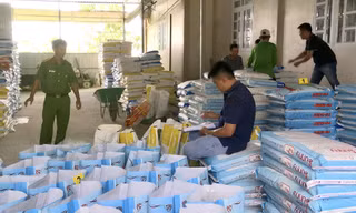Phơi bày chiêu thức sản xuất hàng chục tấn thức ăn cho tôm giả 