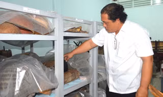 Cà Mau đề xuất Chính phủ hỗ trợ xây bảo tàng