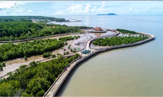 Cà Mau, Bạc Liêu có 23 người trong Ban Thường vụ Tỉnh ủy đủ tuổi tái cử