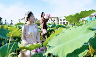 Sen Hồ Tây vào mùa, dịch vụ thuê váy áo, trang điểm chụp ảnh hút giới trẻ