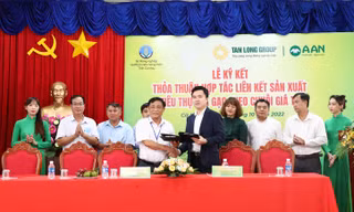  Liên kết vì những cánh đồng hạnh phúc