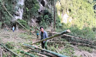 Hiện trường vụ việc. Ảnh: ĐQ