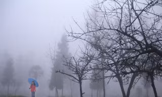 Sương mù có độc không?
