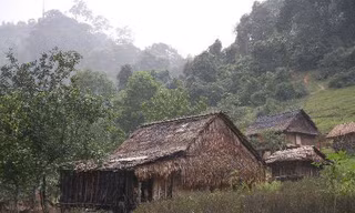 Xóm 'người rừng'
