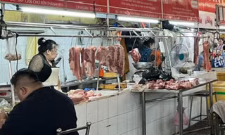 Giá thịt heo vẫn tăng cao: Người nghỉ bán, kẻ cố cầm cự