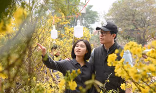 Chợ hoa xuân ở Hà Nội nhộn nhịp ngày 26 Tết