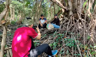 Tò mò mô hình du lịch vuông tôm trong rừng đước