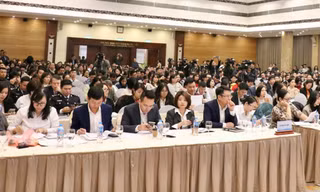 Thủ tục về thuế và hải quan đã cải thiện nhưng vẫn còn doanh nghiệp kêu khó