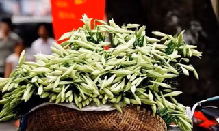 Hoa loa kèn rộn ràng khắp phố Hà Nội