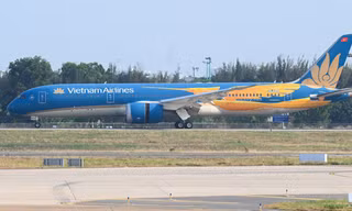 Ấn tượng hình ảnh Chim Lạc trên máy bay Vietnam Airlines đến/đi từ Tân Sơn Nhất