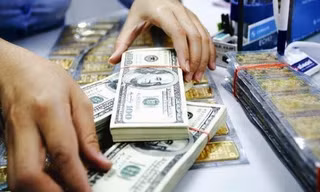 USD 'phi mã' khiến giá vàng giảm sâu 