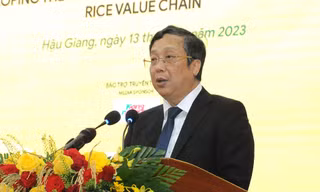 Xuất khẩu kỷ lục và những điểm nghẽn của lúa gạo Việt Nam